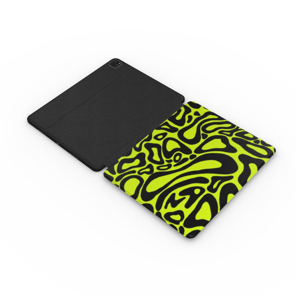 Apple iPad Case